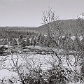 Alaskan winter